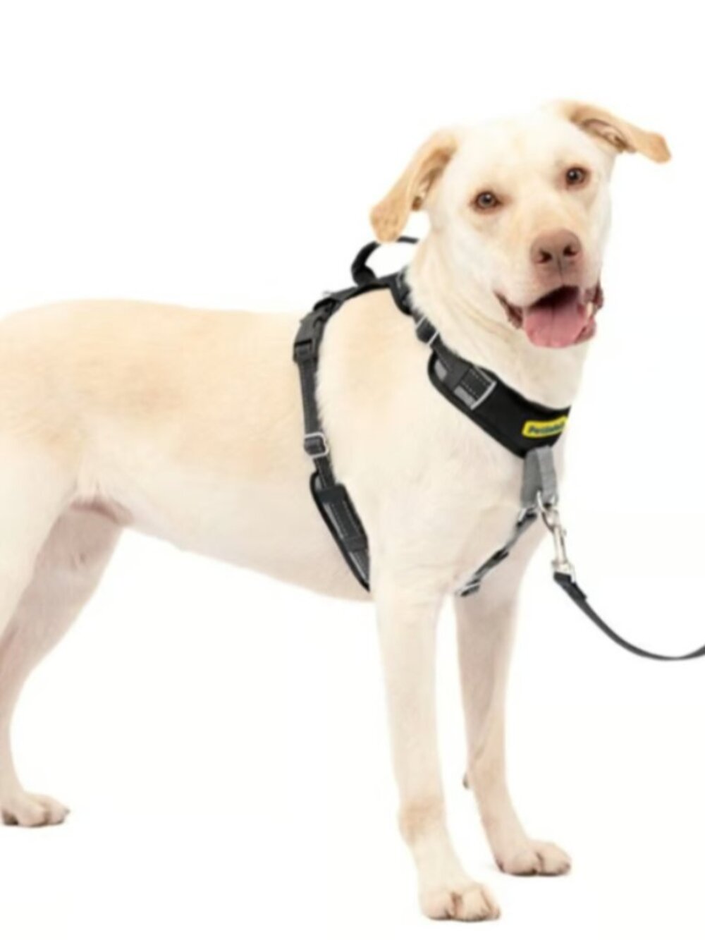 PetSafe Easy Walk Comfort Reflective No Pull Dog Harness, Black, Large: 30 to 42